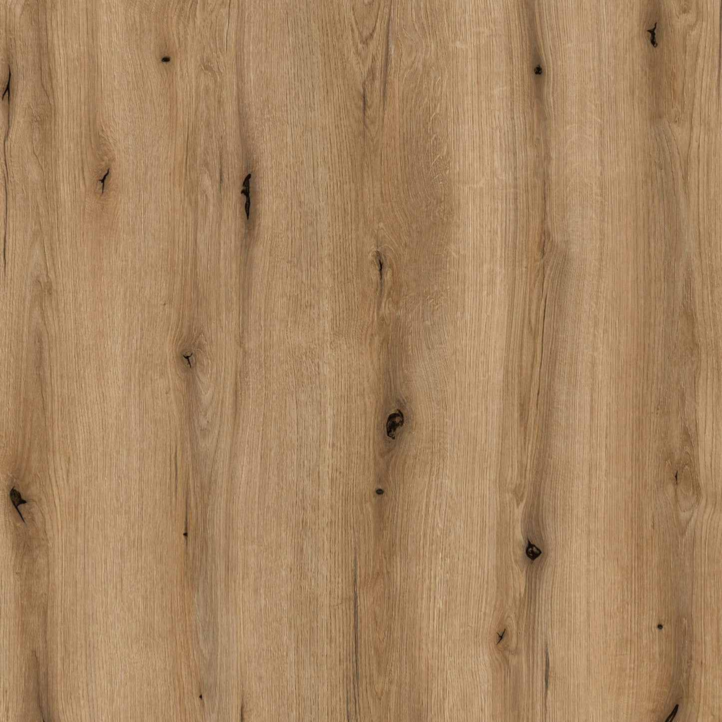 celesto 2 door cabinet in white and oak