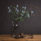 Eryngium Thistle