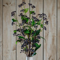 Viburnum Berry