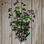 Viburnum Berry