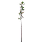 English Blossom Branch