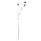 Purple Meadow Flower