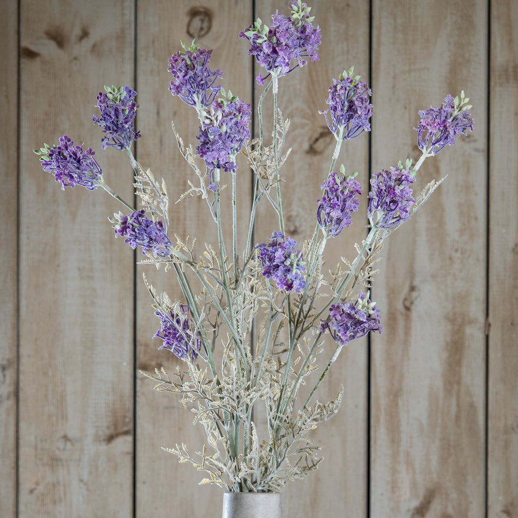 Purple Meadow Flower