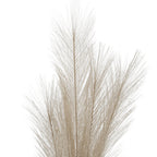 Bleached  Large Faux Pampas Grass Stem