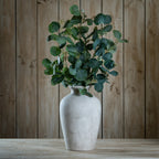 Eucalyptus Stem Spray