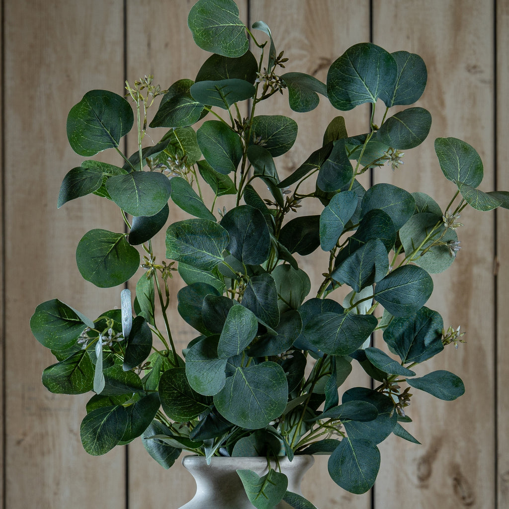 Eucalyptus Stem Spray