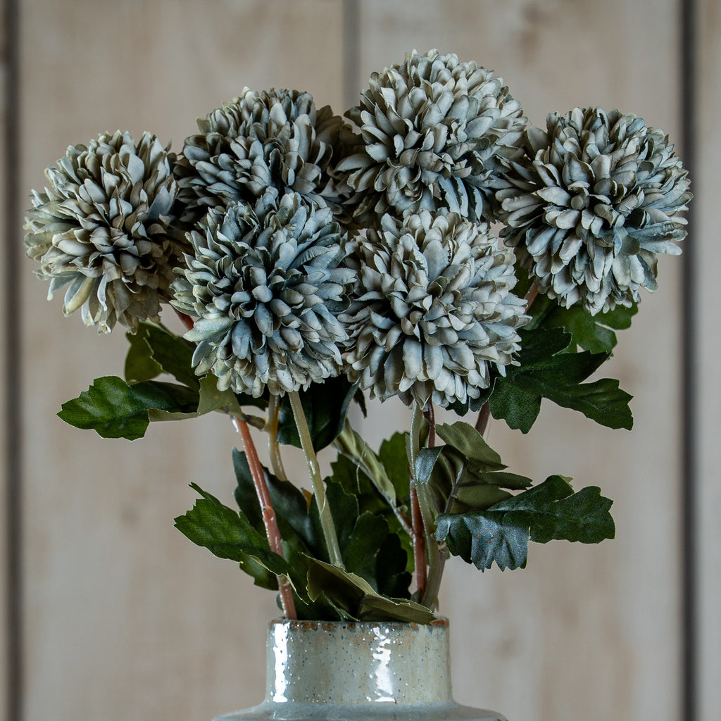 Pale Green Blue Short Chrysanthemum
