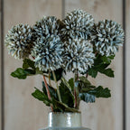 Pale Green Blue Short Chrysanthemum