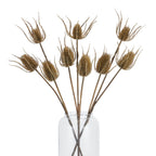 Large Brown Triple Teasle Stem