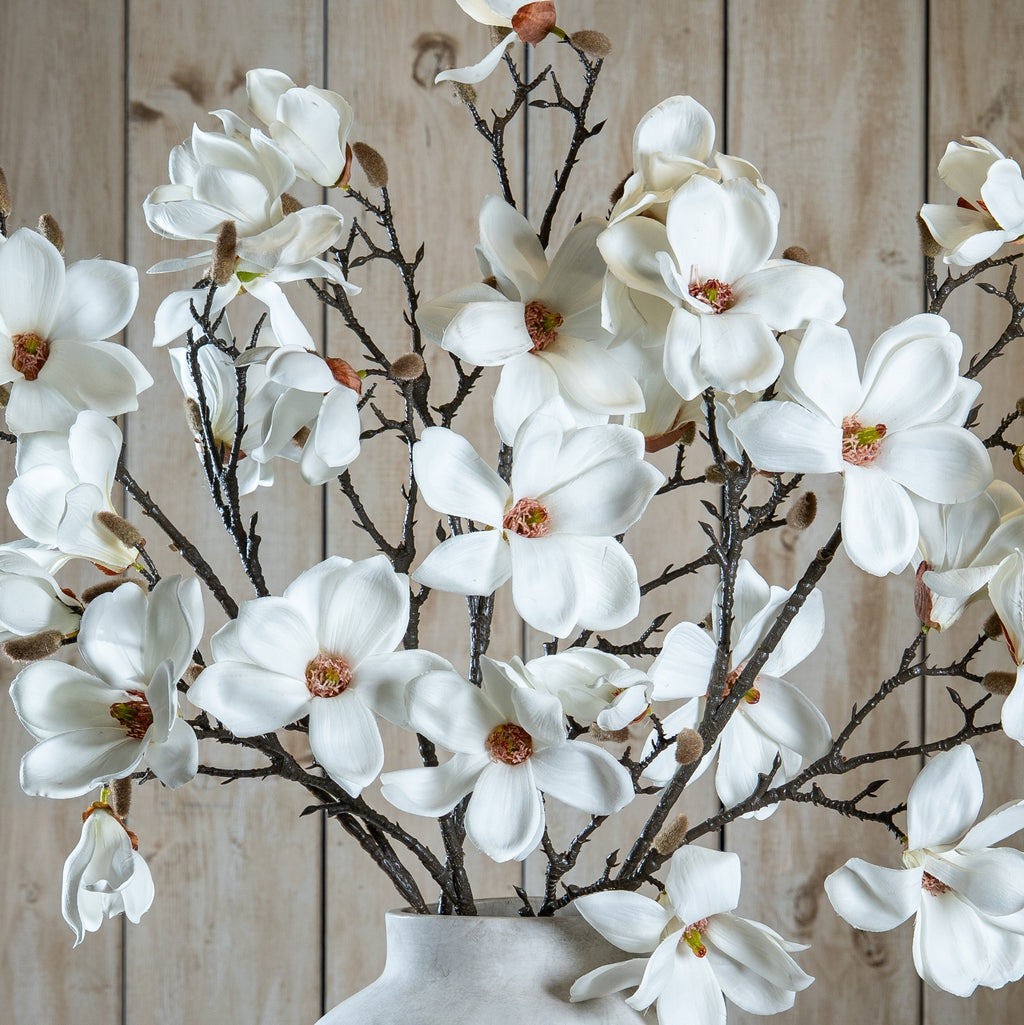 The Natural Garden Collection White Magnolia Stem