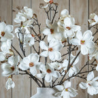 The Natural Garden Collection White Magnolia Stem