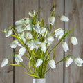 The Natural Garden Collection White Fritillaria Stem