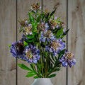The Natural Garden Collection Purple Scabious Stem