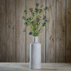 The Natural Garden Collection Purple Nigella Love In A Mist