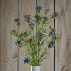 The Natural Garden Collection Purple Nigella Love In A Mist