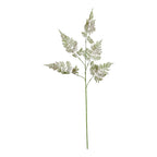 The Natural Garden Collection Large Bracken Fern Spray