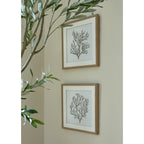 Reef Coral Art Mounted In Beaded Frame