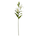 White Madonna Lily Spray