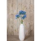 Blue Agapanthus Stem
