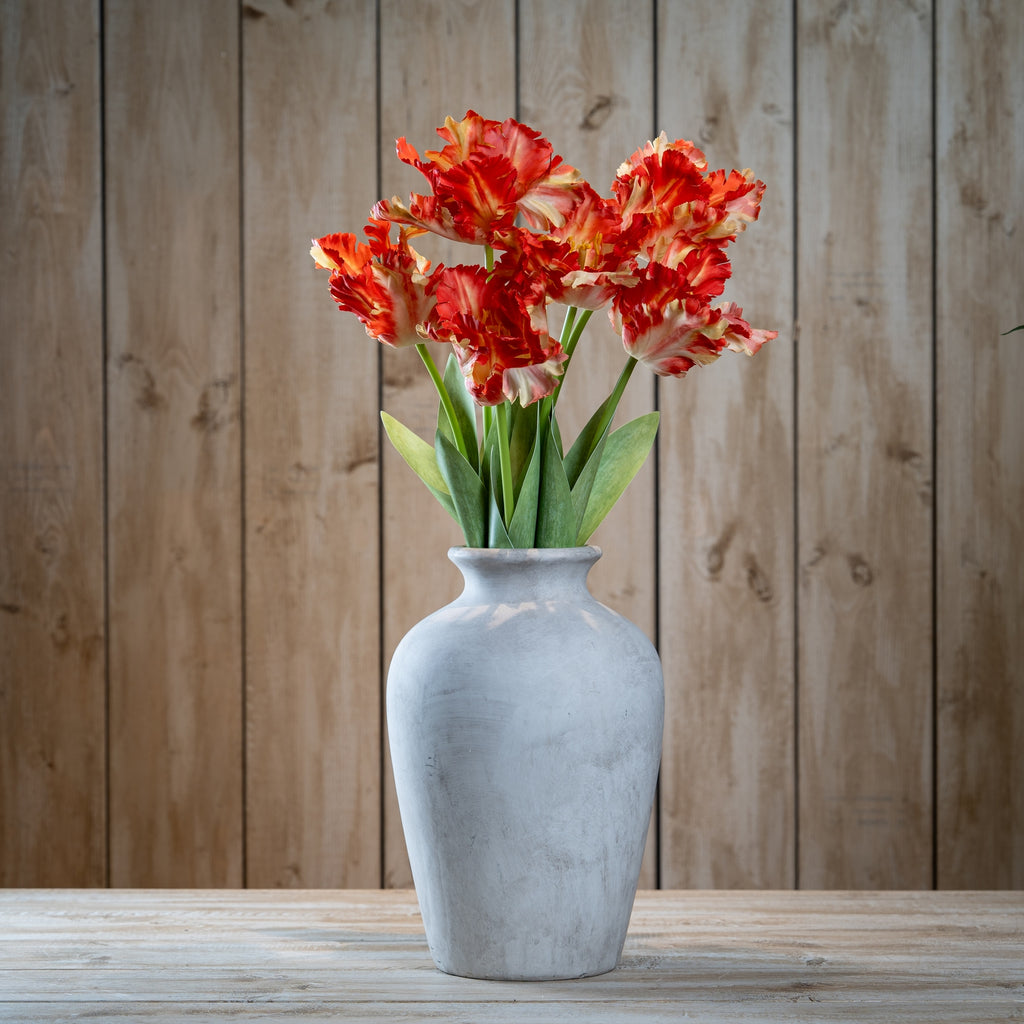 Flame Orange Parrot Tulip