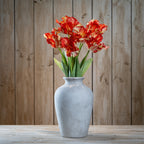 Flame Orange Parrot Tulip