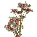 Pink Berry Spray