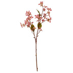 Pink Vernicia Fordii Spray