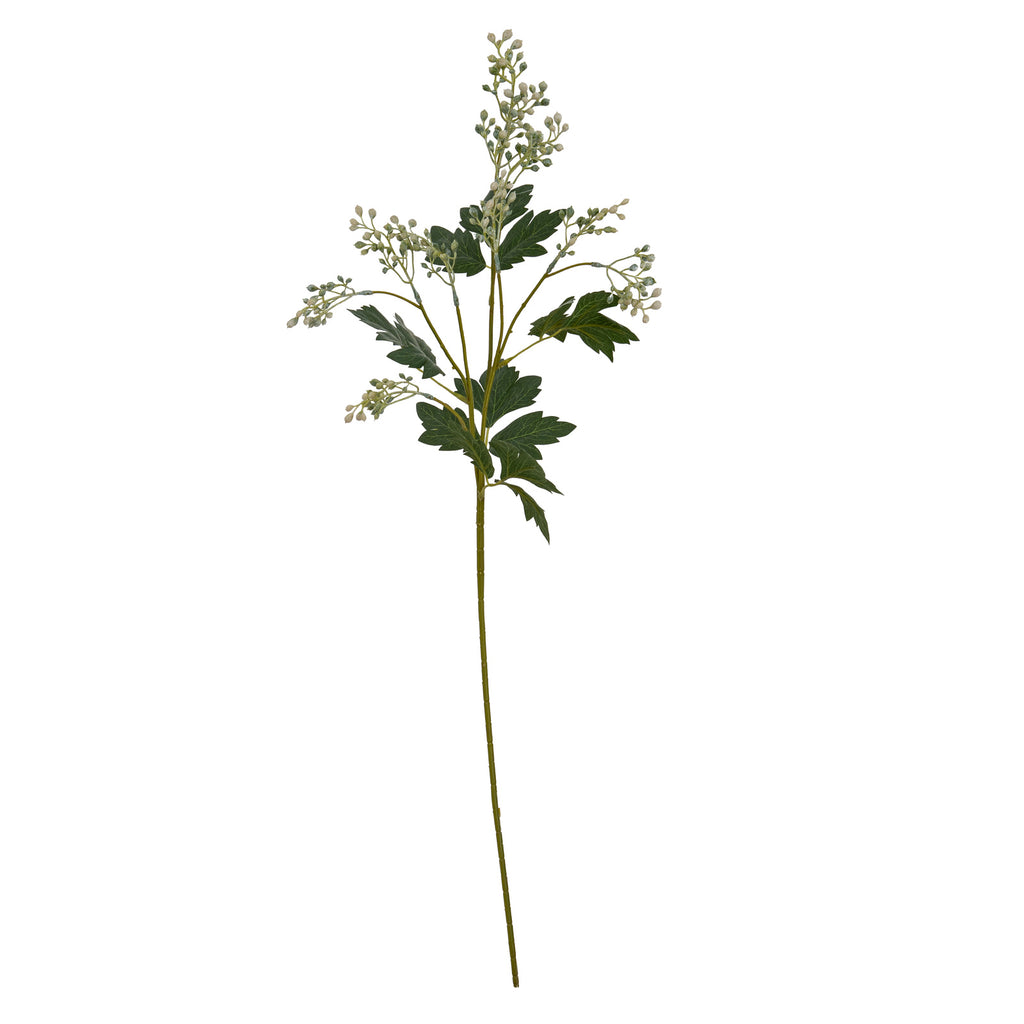 Milk Thistle Bud Spray
