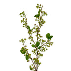 Green Mossberry Large Branch