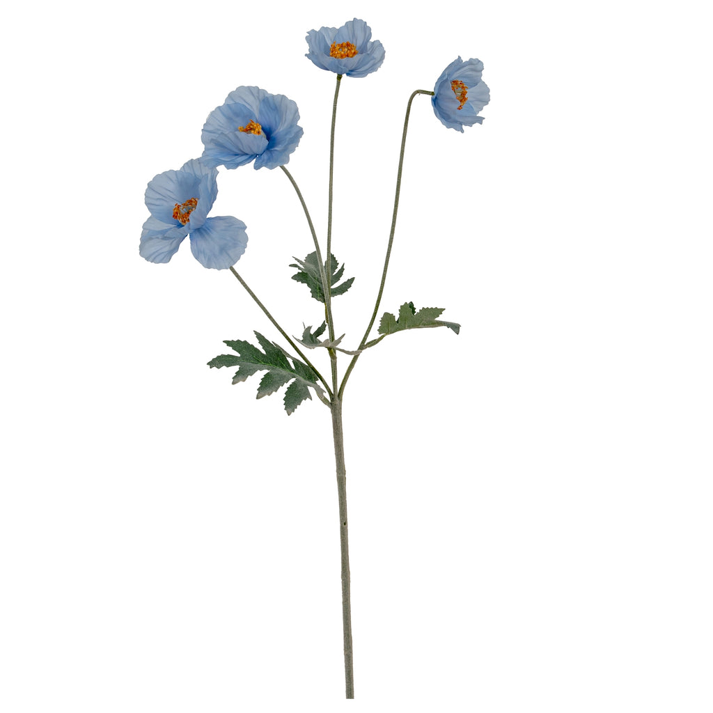 Blue Papaver Poppy Spray