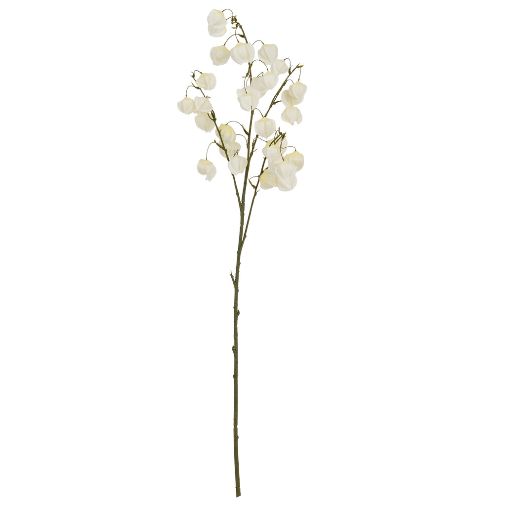 White Physalis Spray