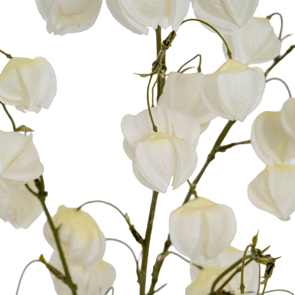 White Physalis Spray