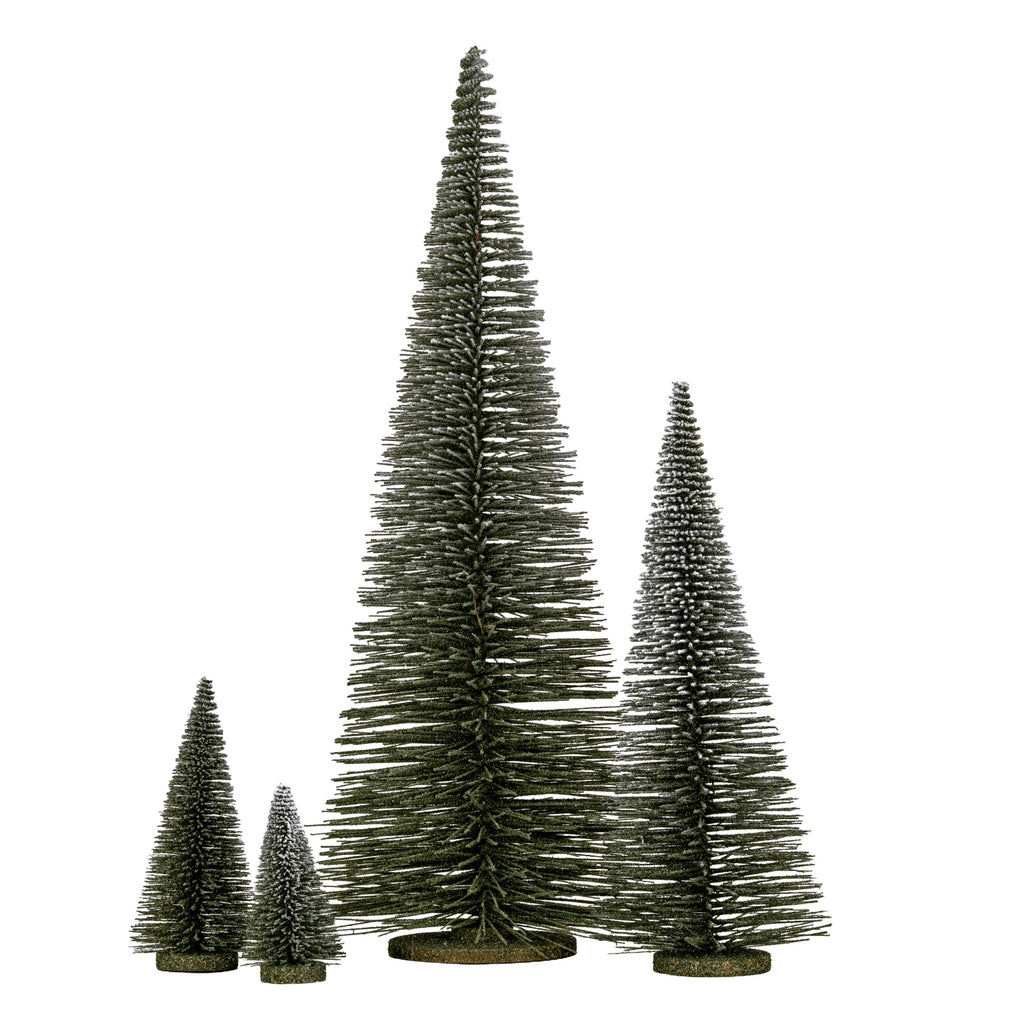 Large Spindle Brush Tree