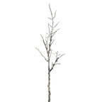 Snowy Winter Woodland Branch