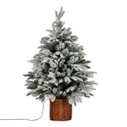Snowy Norway Fir Pre-Lit Led 300L Fir Tree In Rattan Pot