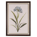 Flora & Fauna Collection Blue Wildflower in Frame
