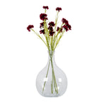 Large Glass Balloon Bottle Vase
